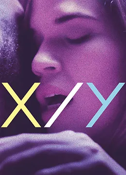 迷情纽约 X-Y