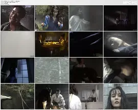 监禁逃亡 美丽的猎物 (1993)