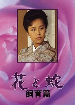 花与蛇 饲育篇