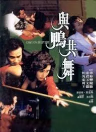 与鸭共舞