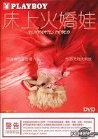 花花公子 - 床上火娇娃
