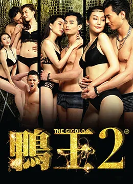 鸭王2:鸡同鸭恋
